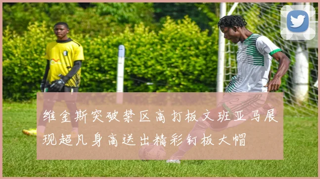 维金斯突破禁区高打板文班亚马展现超凡身高送出精彩钉板大帽