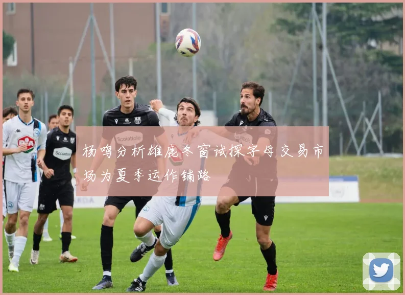 杨鸣分析雄鹿冬窗试探字母交易市场为夏季运作铺路
