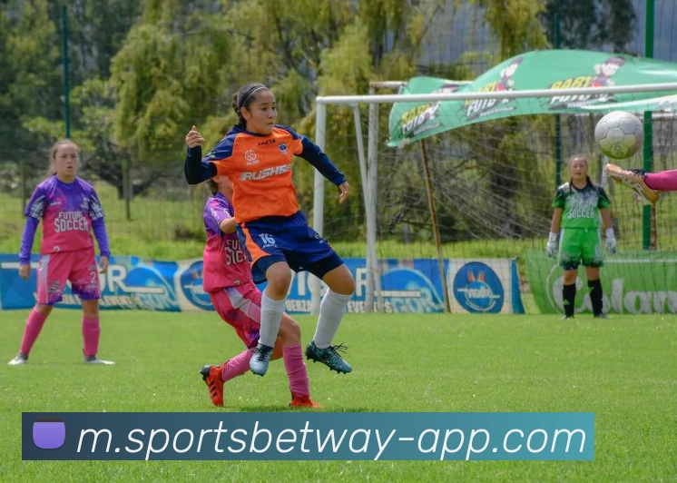 必威体育平台生态图