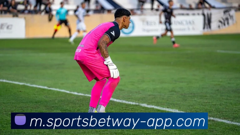 必威体育APP 封面图